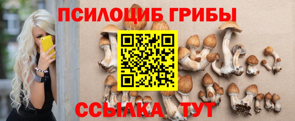 Галлюциногенные грибы MAGIC MUSHROOMS Гай